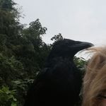 Joan Lyons - @joanlyons17 - Instagram