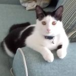 Joan Lyons - @joan.lyons.12979 - Instagram