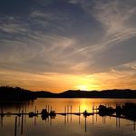 Joan Mackin - @joan.mackin - Instagram