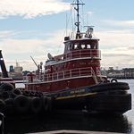 Joan Mackin Miner - @joan.m.miner - Instagram