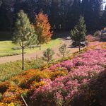 Joan Mahon - @joanmarie_43 - Instagram