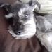 Joan Maloy - Facebook