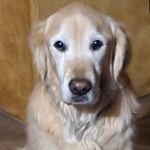 Joan Mast - @mast.joan - Instagram