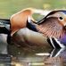 Joan Masters - Facebook