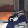 joanmasters3 - @joanmasters3 - TikTok