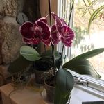 Joan Mathias - @joan_mathias1 - Instagram