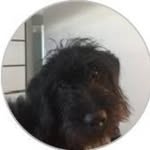 Joan Matthews - @joan.58.matthews - Instagram