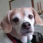 Joan McCaffrey - @joan.mccaffrey - Instagram