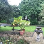 Joan McCann - @mccann6126 - Instagram