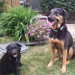 Joan Rempel - @joan.mccann.794 - Instagram