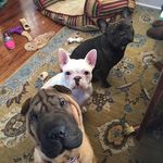 Joan McCutcheon - @joan.mccutcheon.562 - Instagram