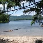 Joan McDevitt - @mcdevittjoan - Instagram