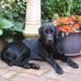 Joanne McDevitt - Facebook