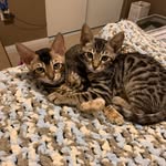 Joan McCarthy McEwen - @joanmccarthymcewen - Instagram