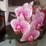 Joan McInerney - @joanmcinerney - Instagram