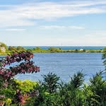 Joan McInerney - @joanie_bologna31 - Instagram