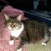 Joan McNeill - Facebook
