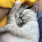 Jo Ann McRobbie - Facebook