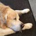 Joan Mears - Facebook