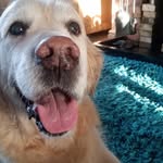 Joan Mears - @w440133 - Instagram
