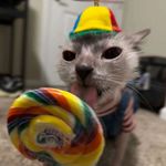 Emily Joan Meier - @heyyitsemzz - Instagram