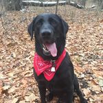 Joan Meier - @meierj50 - Instagram