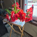 Joan Meier - Facebook