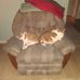 Joanne Messenger - Facebook