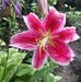 Joan Minke - Facebook