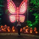 Joan Minton McKinney - @joanmintonmckinney - Instagram