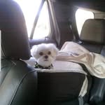 Joan Mobley - @thshdhcc - Instagram