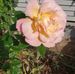 Joan Mobley - Facebook
