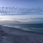 Joan Moeller - Facebook