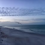 Joan Moeller - @joann_oscar - Instagram