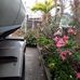 Joan Mora - Facebook