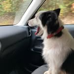 Joan Currier - @muddywatersjoan - Instagram