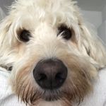Joanna Mudge - @joanna.mudge - Instagram
