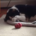 Joan Carson - @joanmulligancarson - Instagram