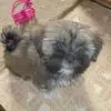 joanmunoz62 - @joan.munoz - TikTok