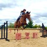 Joan Murphy - @joan.murphy.980967 - Instagram
