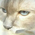 Joan Neill - @jonee112 - Instagram