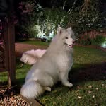 Joan Newcombe - @joan.newcombe - Instagram