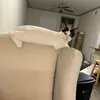 joanna_jin - @joanna_jin00 - TikTok