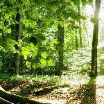 NJ - @joannnajib - Instagram