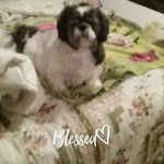 Joan Ogden Burch - @joan.ogdenburch - Instagram