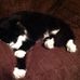 Joan Okeefe - Facebook