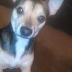 Joan Oneal - @joan.oneal_4747 - Instagram