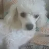 joanoneal611 - @joanoneal611 - TikTok