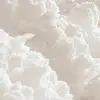 Joan Ortiz - @joan.ortiz56 - TikTok