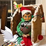 Joan Pace Shemit - @joanp3 - Instagram